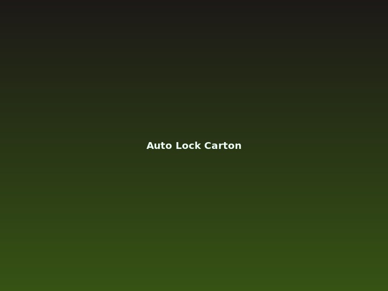 Auto lock carton box